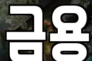 금용