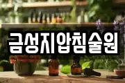 금성지압침술원
