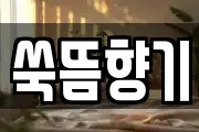 쑥뜸향기