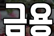 금용