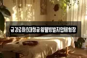 금강로하스대청공원웰빙발지압체험장