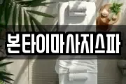 대전 대덕구 부수동 마사지, 지압등 업체정보