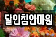 대전 대덕구 오정동 마사지, 지압등 업체정보