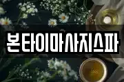 대전 대덕구 용호동 마사지, 지압등 업체정보