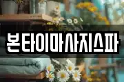 대전 대덕구 황호동 마사지, 지압등 업체정보
