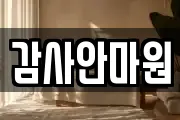 감사안마원