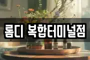 롬디 복합터미널점