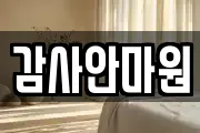 감사안마원