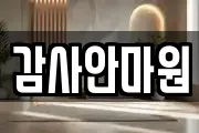 감사안마원