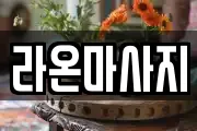 대전 동구 대성동 마사지, 지압등 업체정보