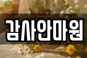 감사안마원