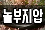 놀부지압