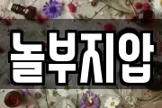 놀부지압