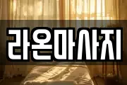 대전 동구 천동 마사지, 지압등 업체정보