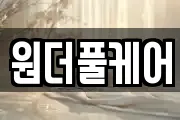 원더풀케어