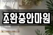조완중안마원