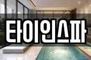 타이인스파