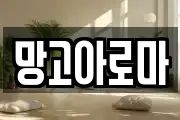 망고아로마