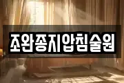 조완종지압침술원