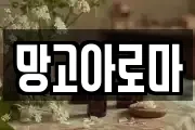 망고아로마