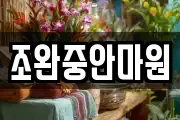 조완중안마원