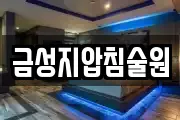 금성지압침술원