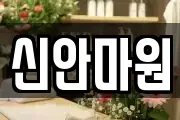 신안마원