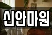 신안마원