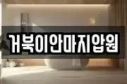거북이안마지압원