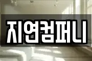 지연컴퍼니