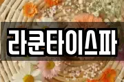 라쿤타이스파
