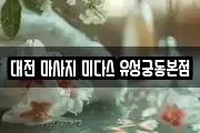 대전 마사지 미다스 유성궁동본점
