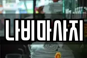 나비마사지