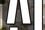 신