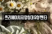 쓰리에이치지압침대유성쎈타