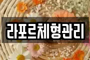 라포르체형관리