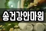 대전 유성구 세동 마사지, 지압등 업체정보