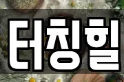 터칭힐