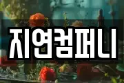 지연컴퍼니
