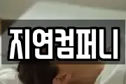 지연컴퍼니
