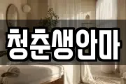 청춘생안마