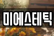 미에스테틱