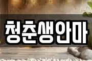 청춘생안마