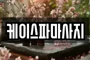 케이스파마사지