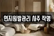 연지원발관리 사주 작명