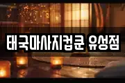 대전 유성구 하기동 마사지, 지압등 업체정보