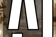 신