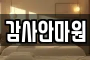 감사안마원