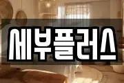 세부플러스