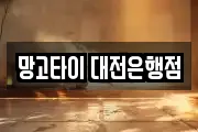 망고타이 대전은행점